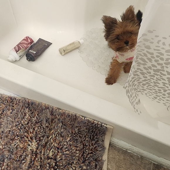 Priceless Package - Picture 3 of 12